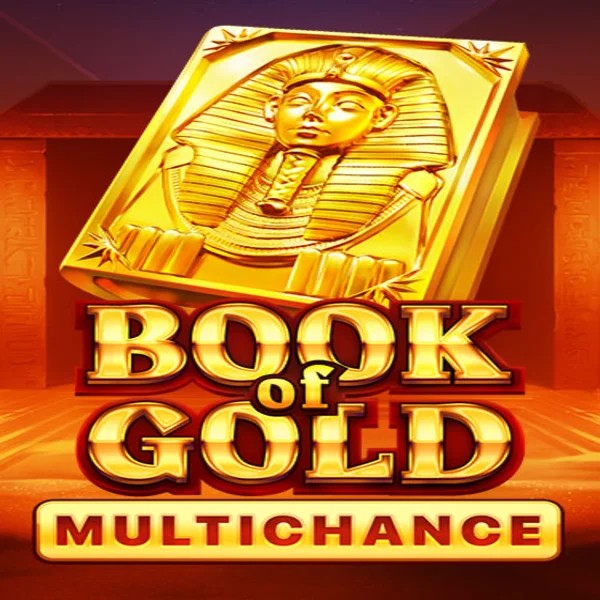 Slots logo of Book of Gold Multichance from Playson at Duffspin Casino